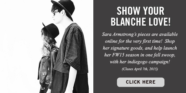 Sara Armstrong, indiegogo campaign