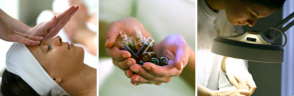 Esthetics Schools Course Description