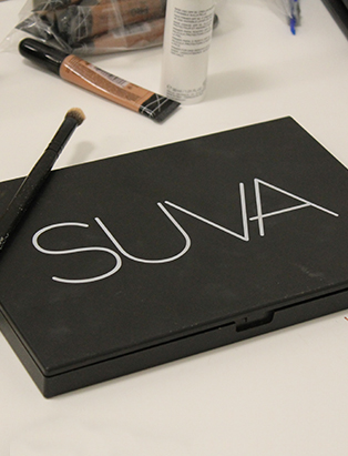 shaina azad top makeup artist suva makeup palette